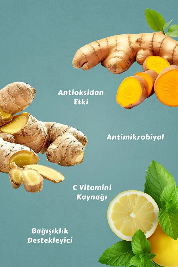 Winter Hot Nane Limon Aromalı İçecek Tozu (12 x 13 Gr )