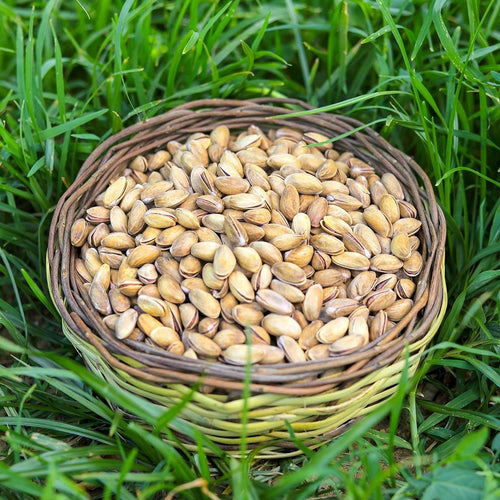 Antep Fıstığı
