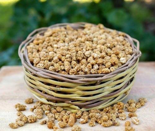 Beyaz Dut Kurusu ( 150 Gram )