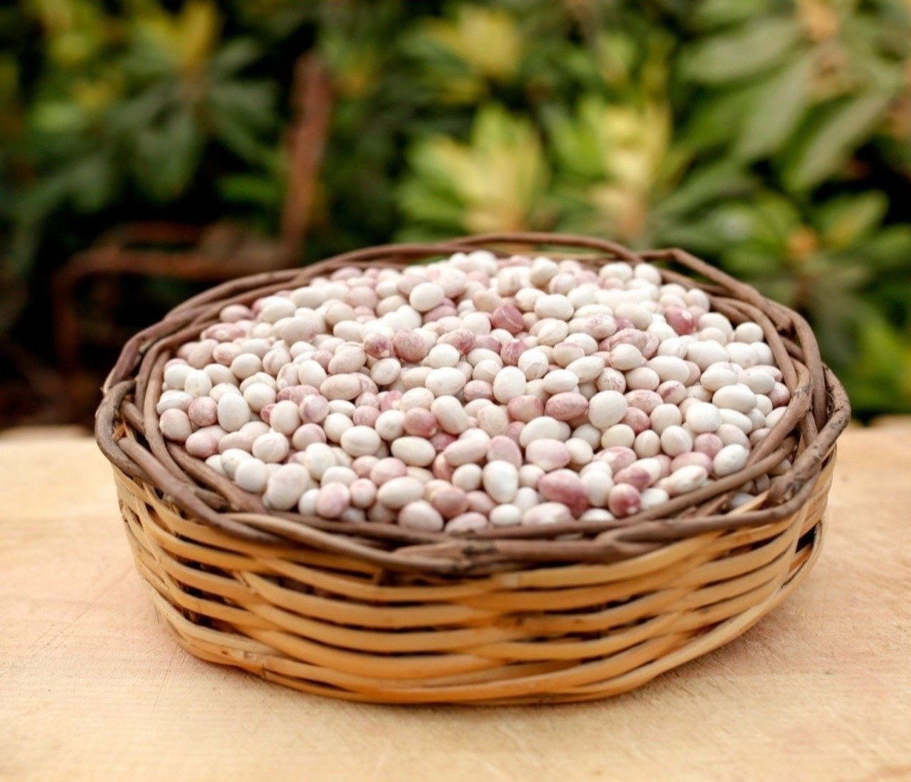 İspir Fasulye ( 1 Kg )