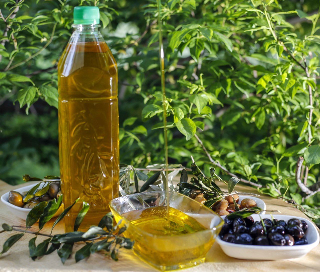 Zeytin Yağı