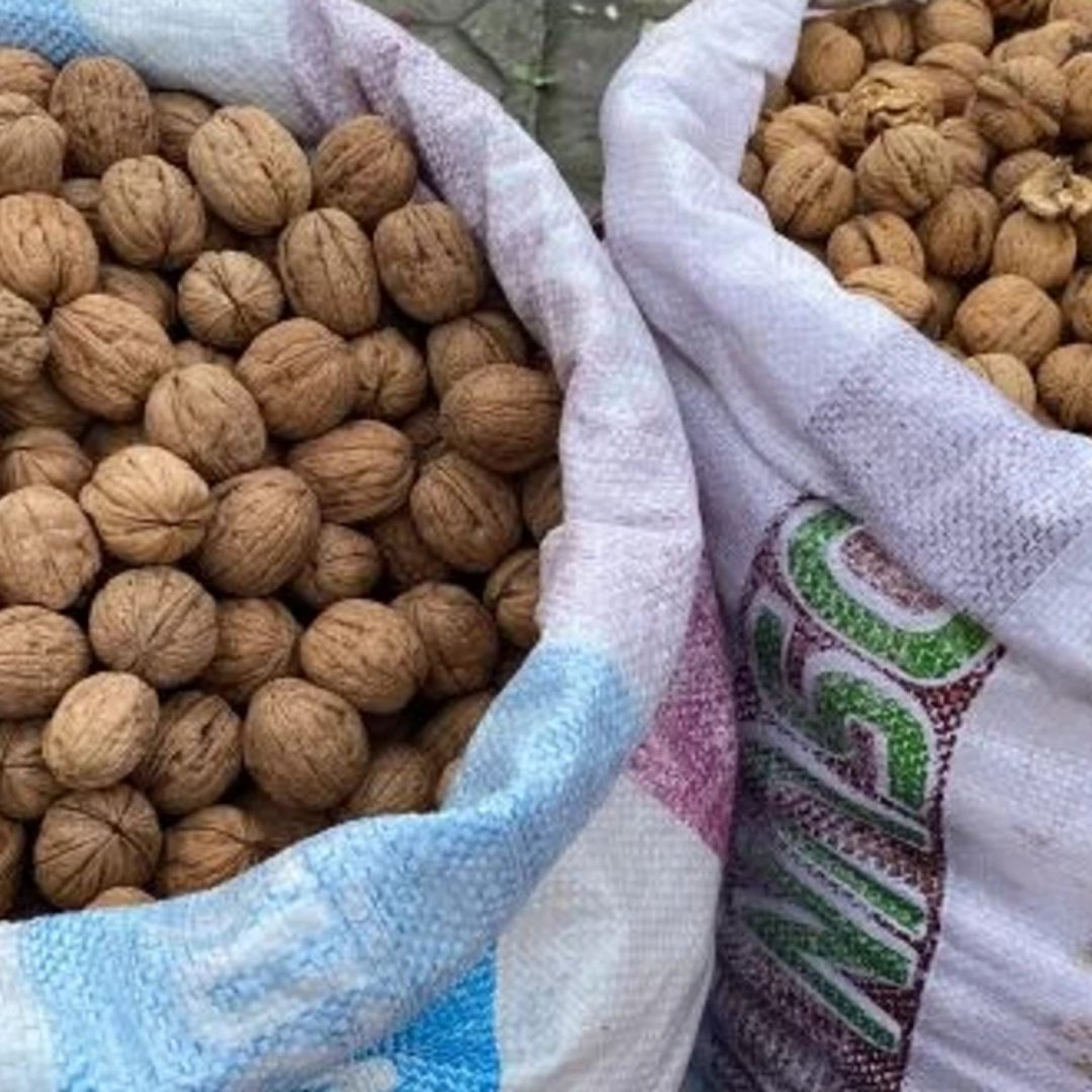 Balıkesir Chandler cevizi, 1 kg, Nazlikoy markası, doğal ve taze kuruyemiş, ceviz görüntüsü.