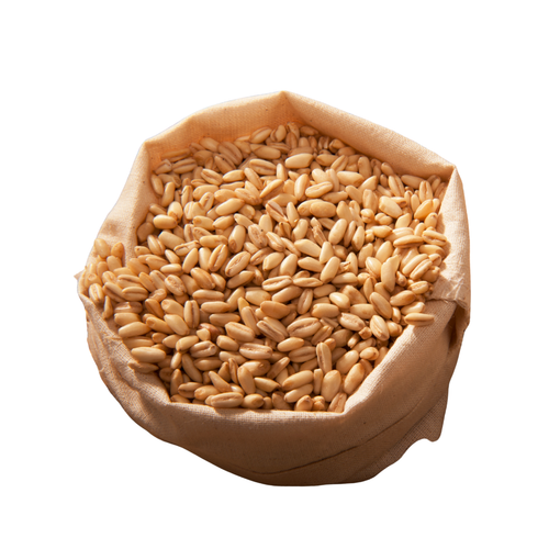 Yerli Aşurelik Buğday 1Kg