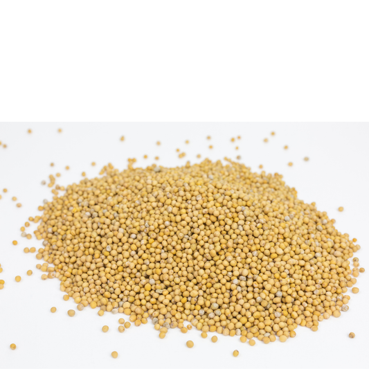 Hardal Tohumu 200Gr
