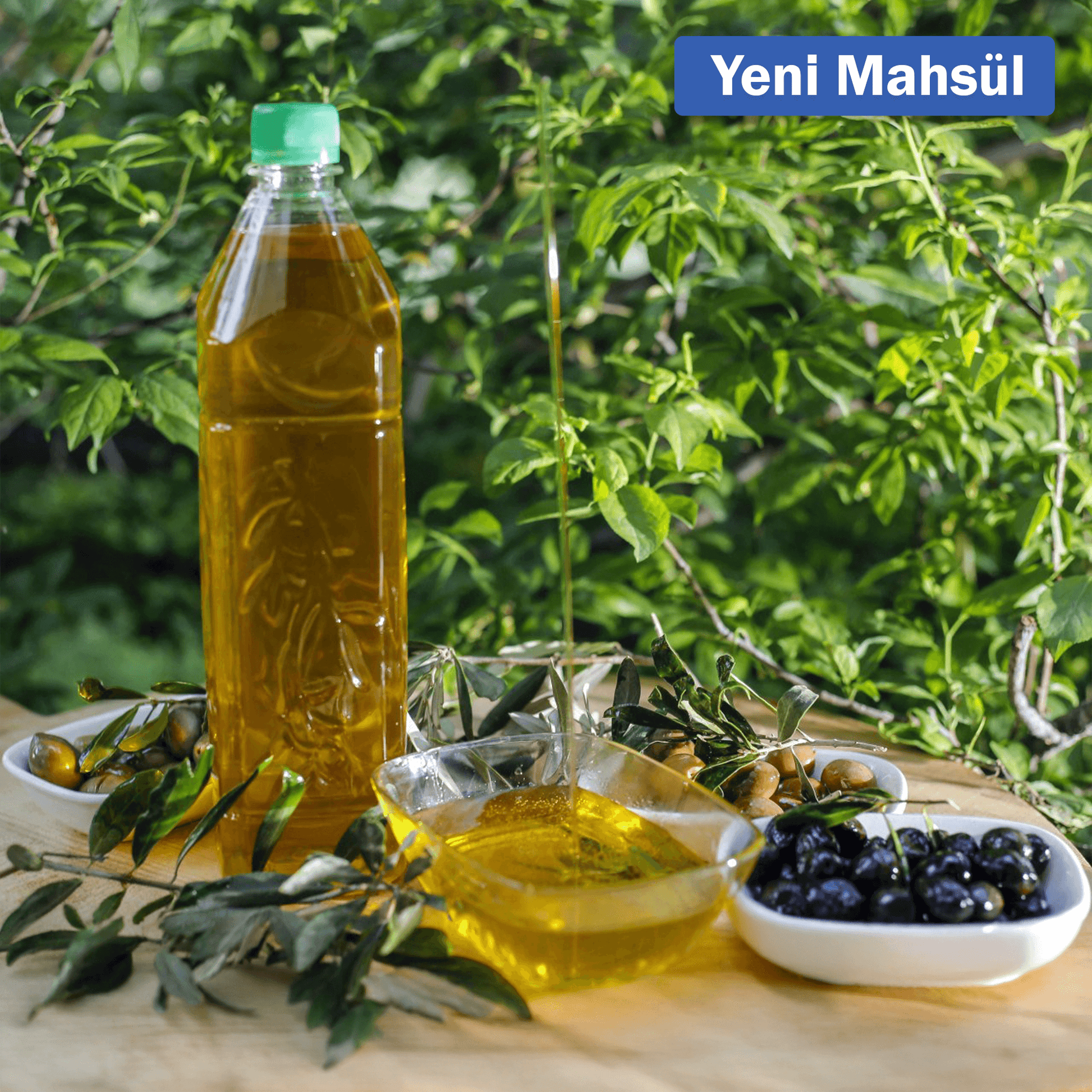 Bottle of Nazlikoy Zeytin Yağı (olive oil) with a clear label, featuring a dark green cap and a golden liquid inside.