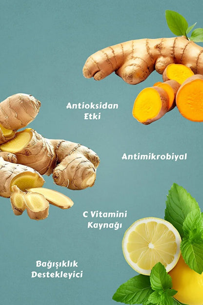 Winter Hot Nane Limon Aromalı İçecek Tozu (12 x 13 Gr )