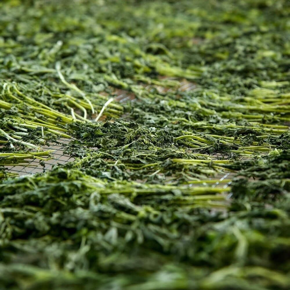 Kuru Isırgan Otu ( 40 Gram )
