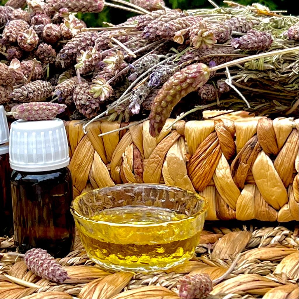 Nazlikoy Karabaş Otu Yağı 20 ml şişe, bitki yağı ve doğal karabaş otu görünümüyle açık renkli şişede.
