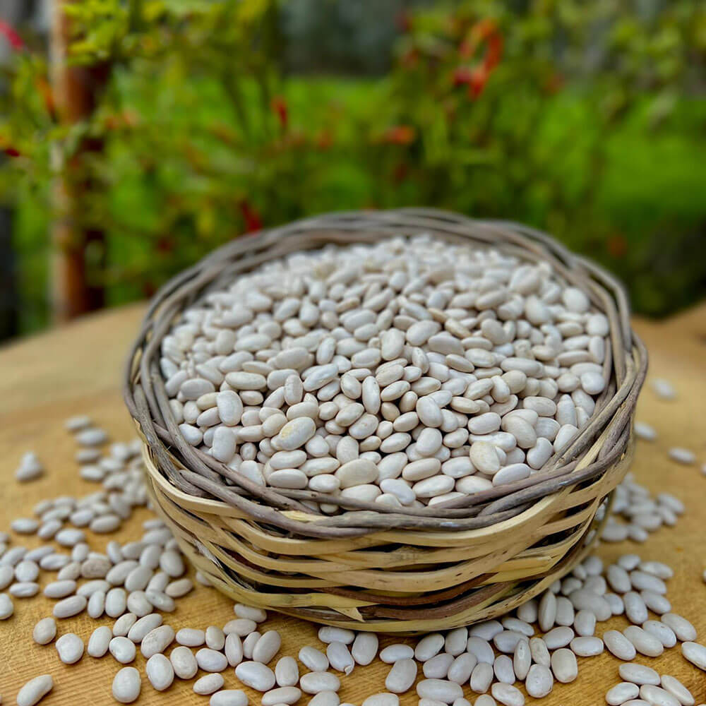 Kuru Fasulye ( 1 Kg )